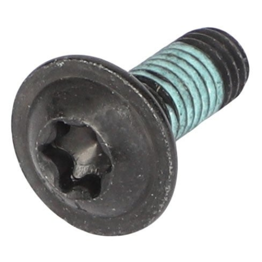 Afbeeldingen van TORX HEAD SCREW
