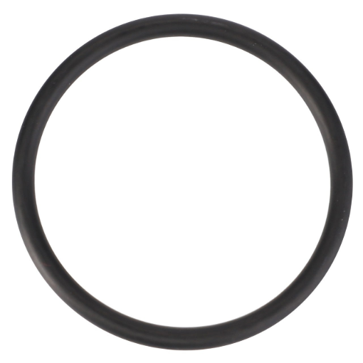 Afbeeldingen van O-RING  (IMSA POMP)