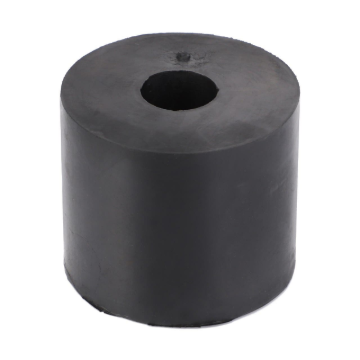 Afbeeldingen van RUBBER BUSH