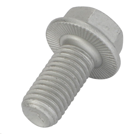 Afbeeldingen van PLUG SCREW