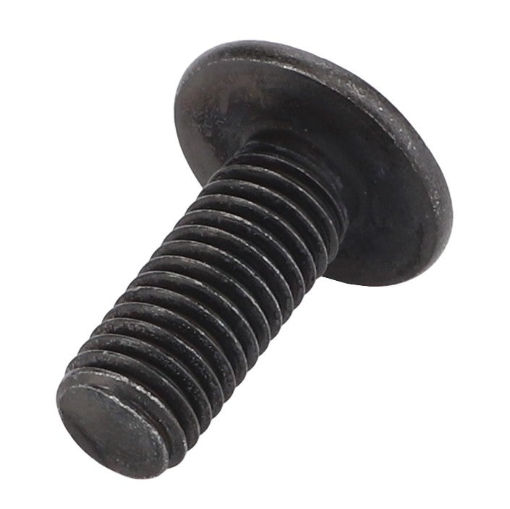 Afbeeldingen van TORX HEAD SCREW