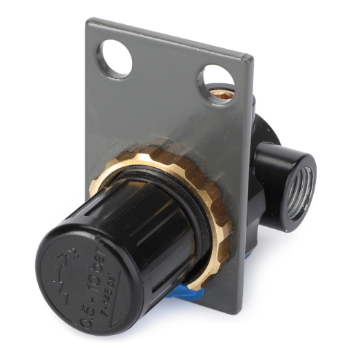 Afbeeldingen van RESTRICTOR 10 BAR