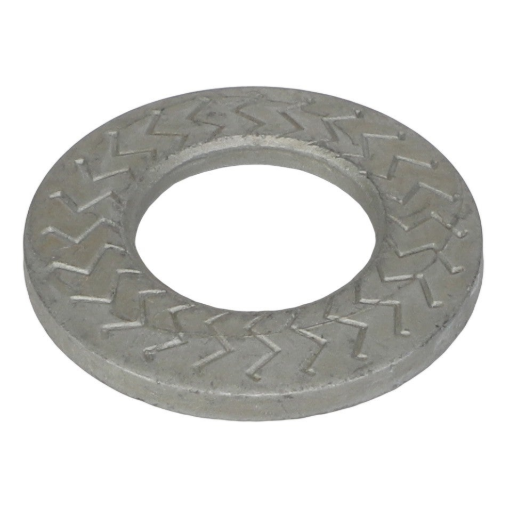 Afbeeldingen van LOCKING DISC