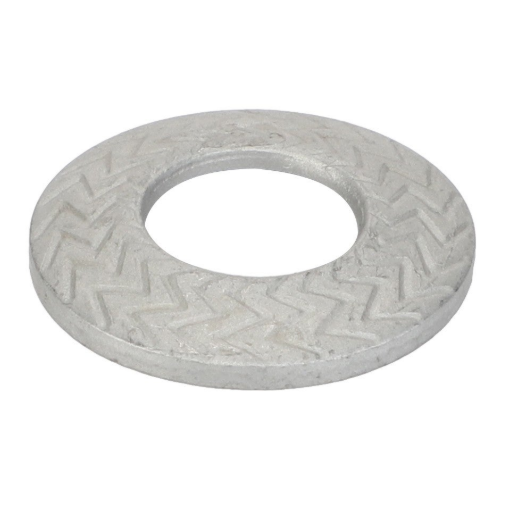 Afbeeldingen van LOCKING DISC