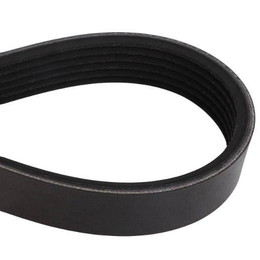 Afbeeldingen van PLATTE RIEM