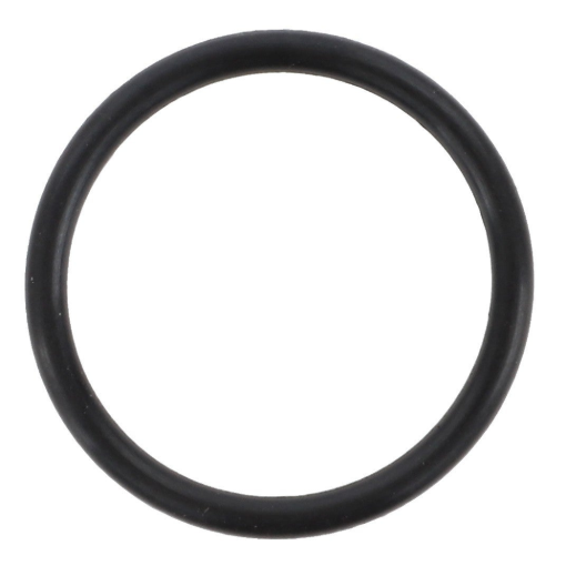 Afbeeldingen van O-RING OR20X2 VITON