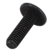 Afbeeldingen van TORX HEAD SCREW