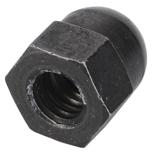 Afbeeldingen van BLIND NUT