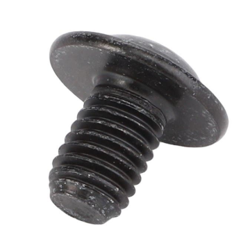 Afbeeldingen van TORX HEAD SCREW