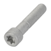 Afbeeldingen van TORX HEAD SCREW