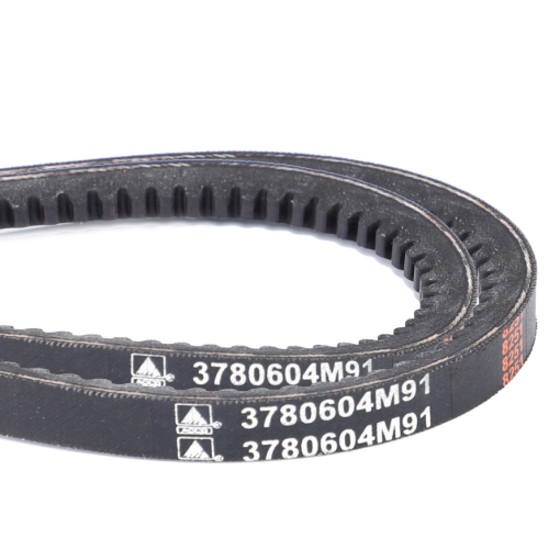 Afbeeldingen van V-SNAARSET (2) 1295mm