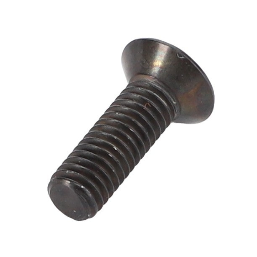 Afbeeldingen van TORX SCREW