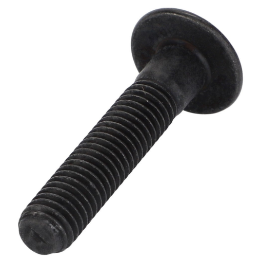 Afbeeldingen van TORX HEAD SCREW