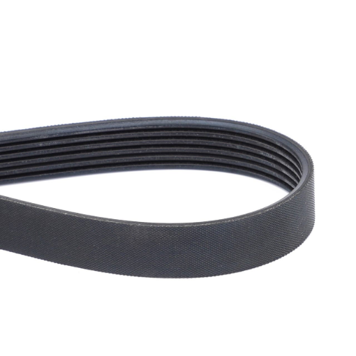 Afbeeldingen van MULTIRIBBED BELT