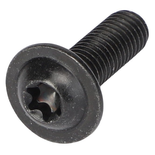 Afbeeldingen van BH CAPSCREW