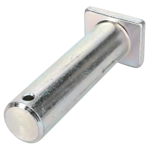 Afbeeldingen van PEN