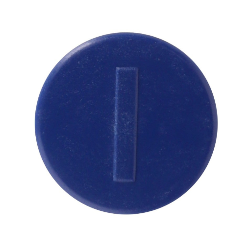 Afbeeldingen van PLAATJE BLAUW/-