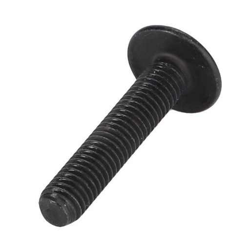 Afbeeldingen van TORX HEAD SCREW