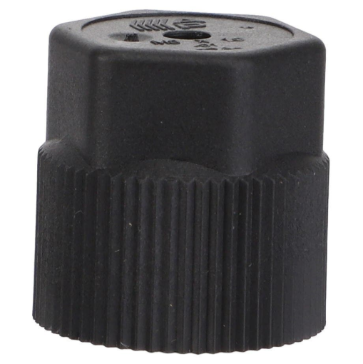 Afbeeldingen van CAP PLUG